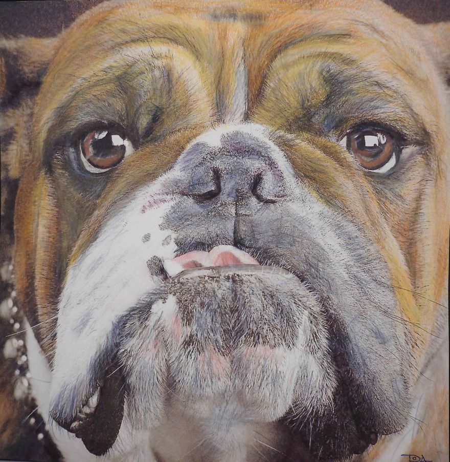 My Attempts At Photo-Realistic Images Using Pencil