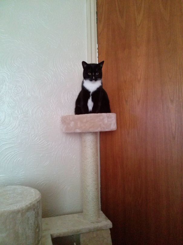 I'm Watching....always!