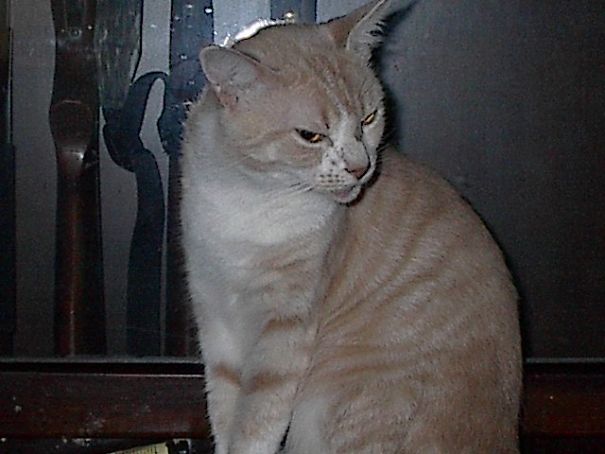 Reba....evil Incarnate