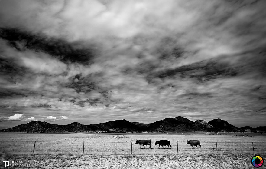 I Documented The Beauty Of West American Landscapes I Documented The Beauty Of West American Landscapes