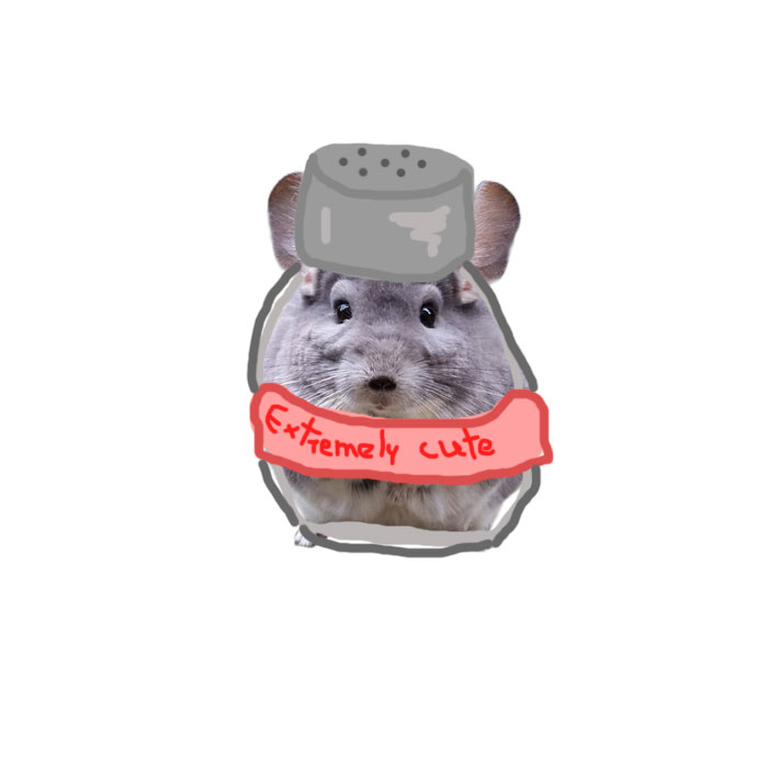 He's So Spiced Up He Became A Spice Himself, The Spice We All Wish We Had