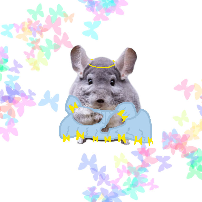 The Newest Disney Princes - Chinchilla