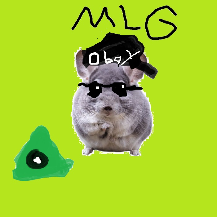 Talk About Memes He Is The Meme Master