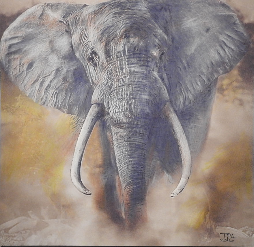 My Attempts At Photo-Realistic Images Using Pencil