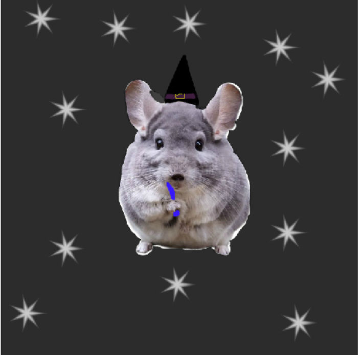 I Am The Chinchilla Wizard