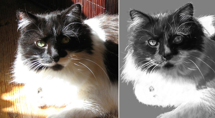 My Dear Departed Chloe