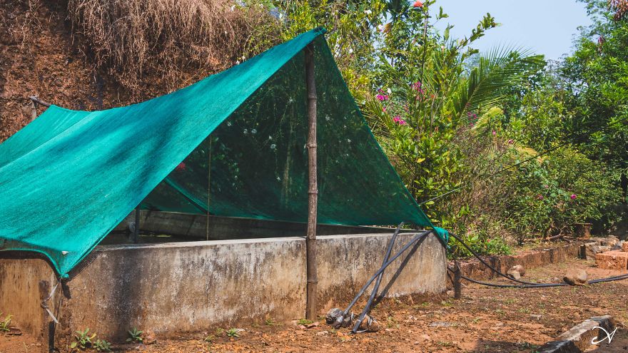 Climbing What I Call Home Climbing What I Call Home