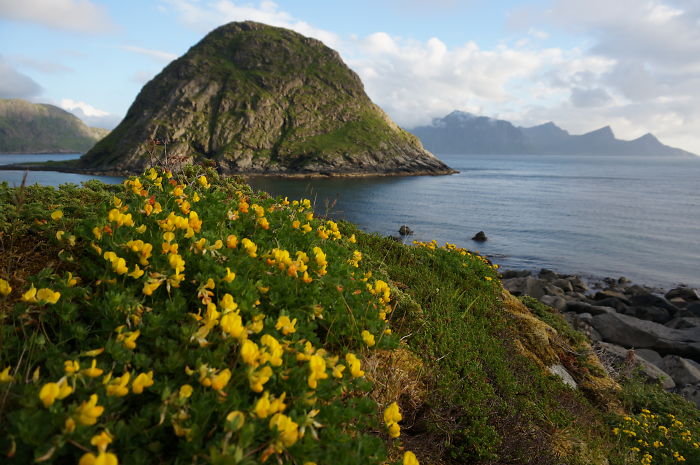 Caribbean Of Arctic Circle