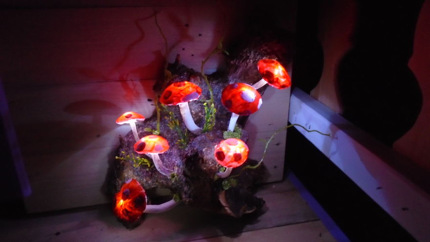 I Wanted To Make Something That Looks Magical!! The Result Was Better Than Expected!