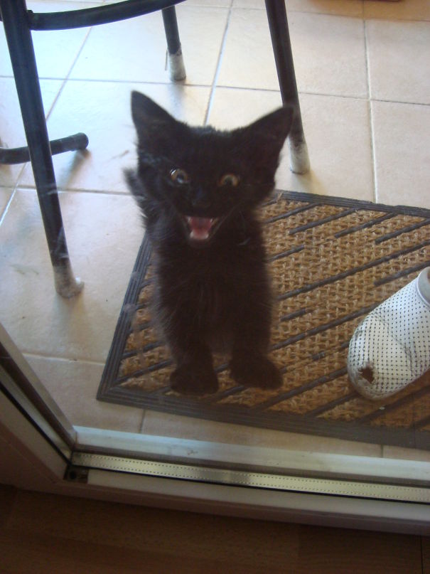 Who Knew She Would Grow Up To Bite Everyone Around