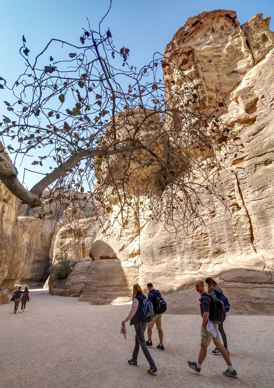 Petra, The Magical Journey