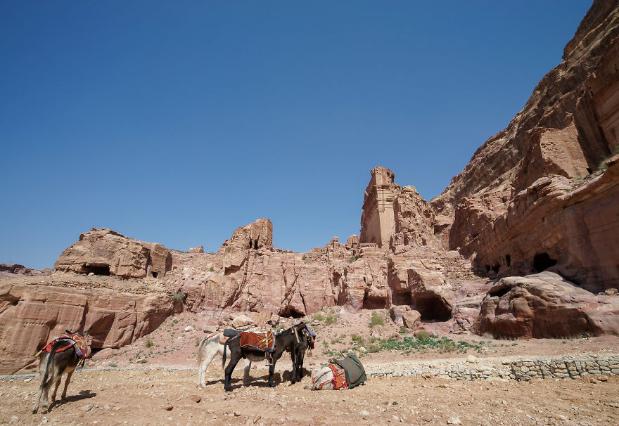 Petra, The Magical Journey