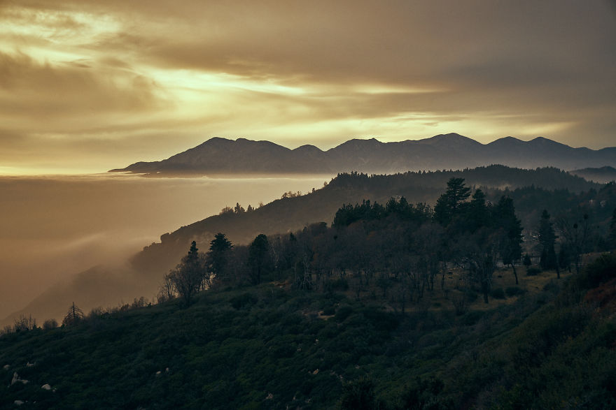 I Drive Around To Find And Photograph Dreamy Foggy Scenes