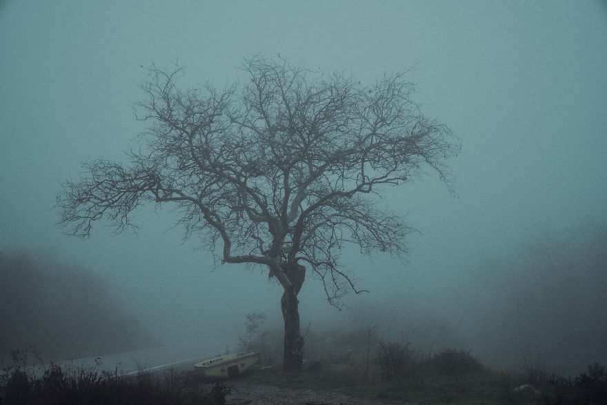 I Drive Around To Find And Photograph Dreamy Foggy Scenes