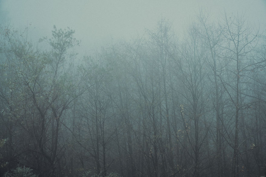 I Drive Around To Find And Photograph Dreamy Foggy Scenes