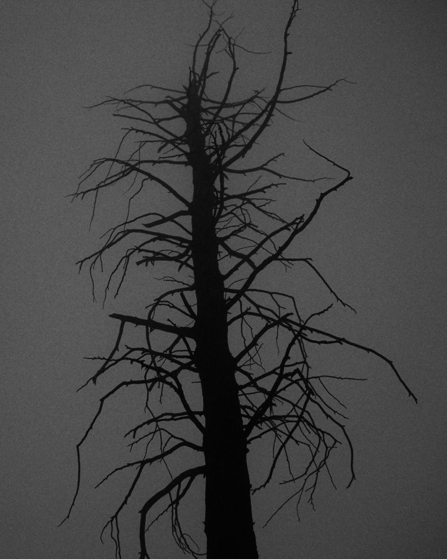 I Drive Around To Find And Photograph Dreamy Foggy Scenes