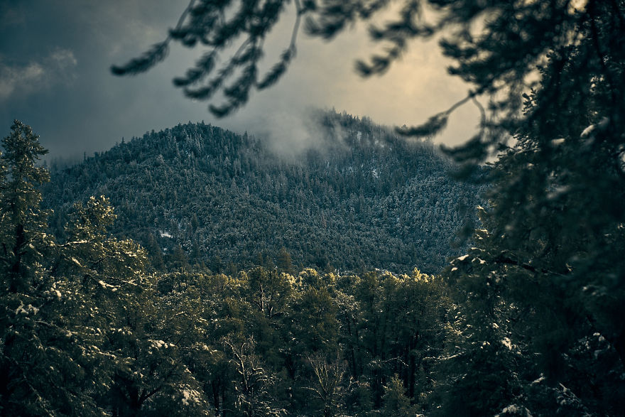 I Drive Around To Find And Photograph Dreamy Foggy Scenes