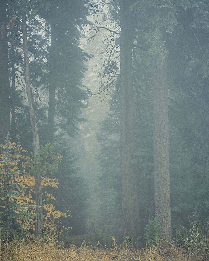 I Drive Around To Find And Photograph Dreamy Foggy Scenes