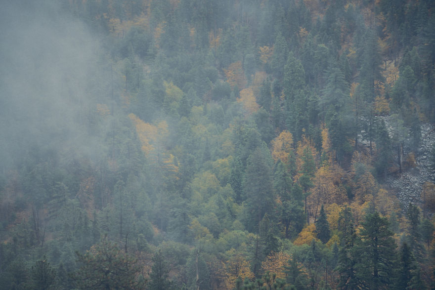 I Drive Around To Find And Photograph Dreamy Foggy Scenes