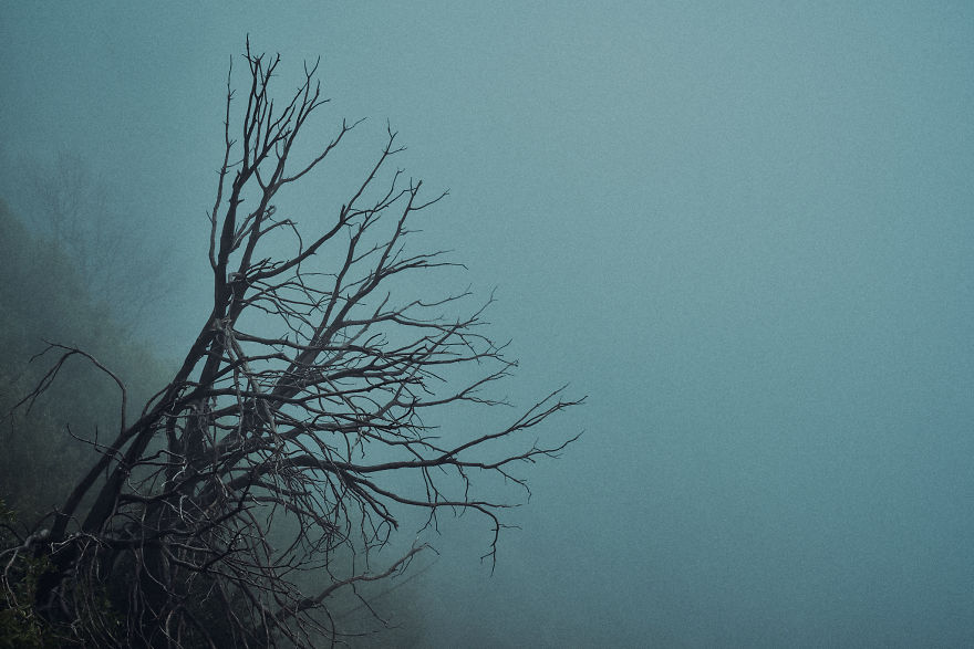 I Drive Around To Find And Photograph Dreamy Foggy Scenes