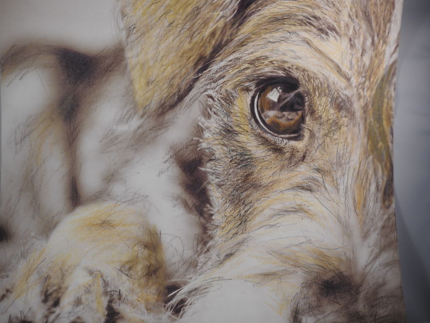 My Attempts At Photo-Realistic Images Using Pencil