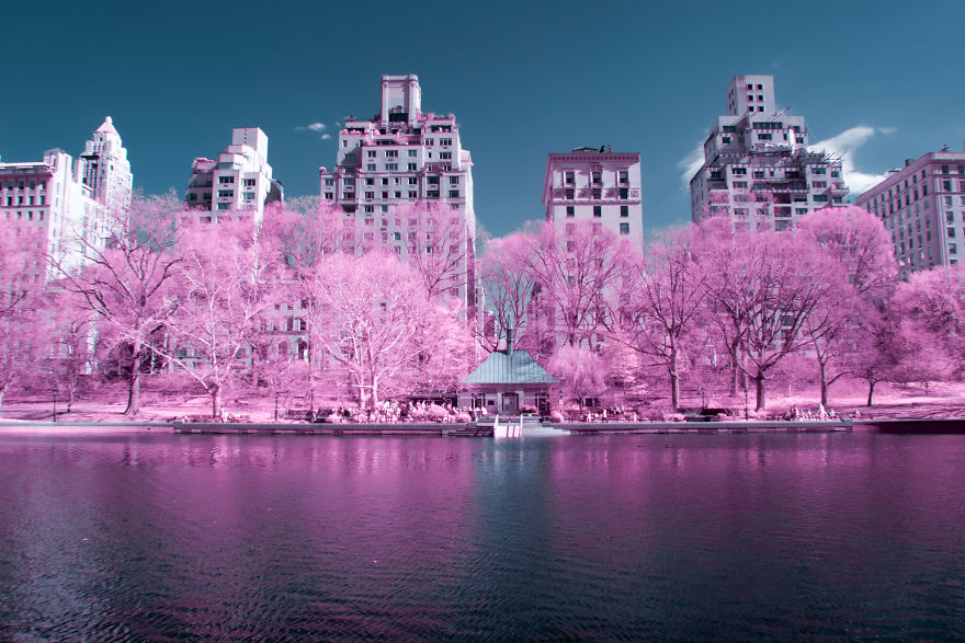 A Recent Infrared Photo Series. Nyc X Ir