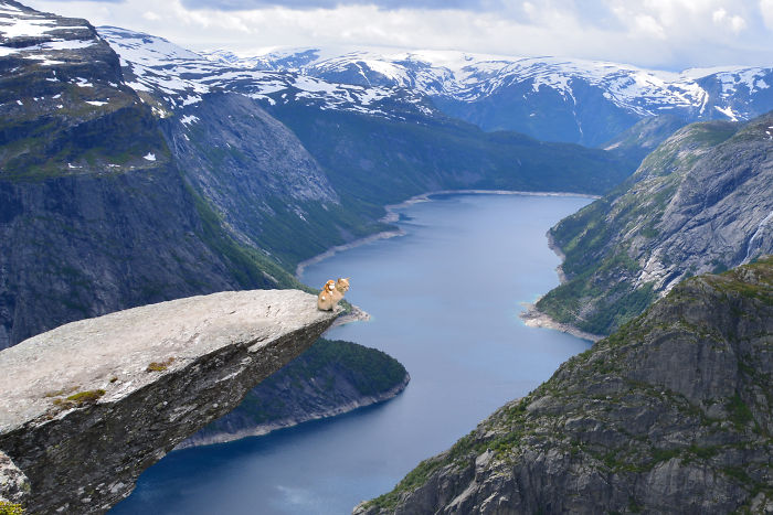 Visiting Trolltunga