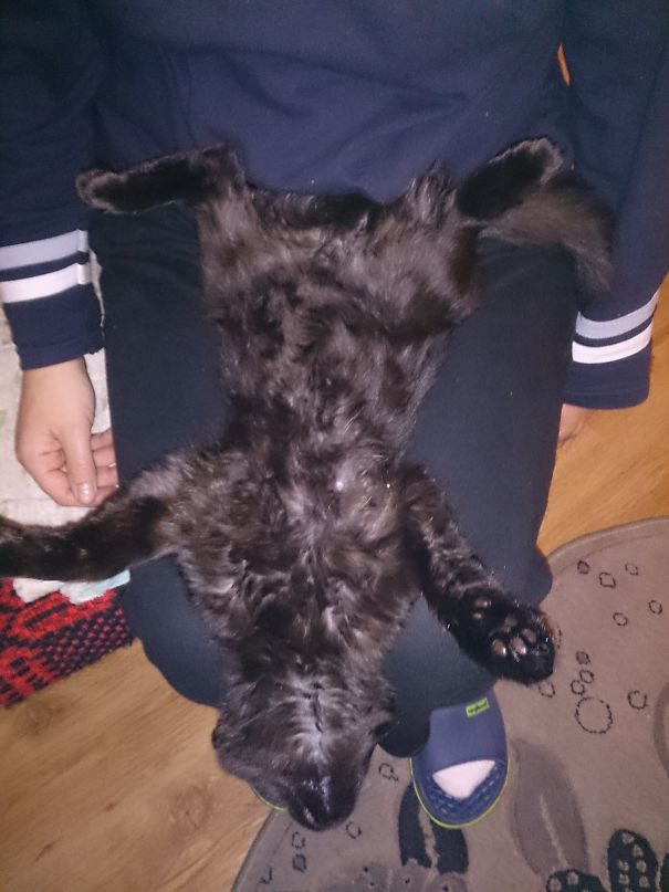 I Can Play Dead....so Dead. And You Wont Even Know, Human.