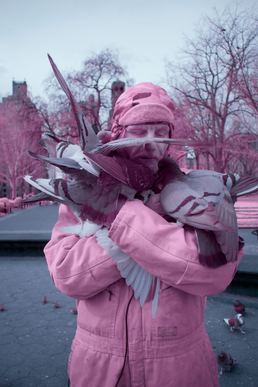 A Recent Infrared Photo Series. Nyc X Ir