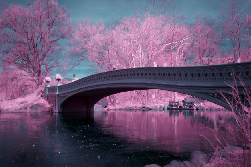 A Recent Infrared Photo Series. Nyc X Ir