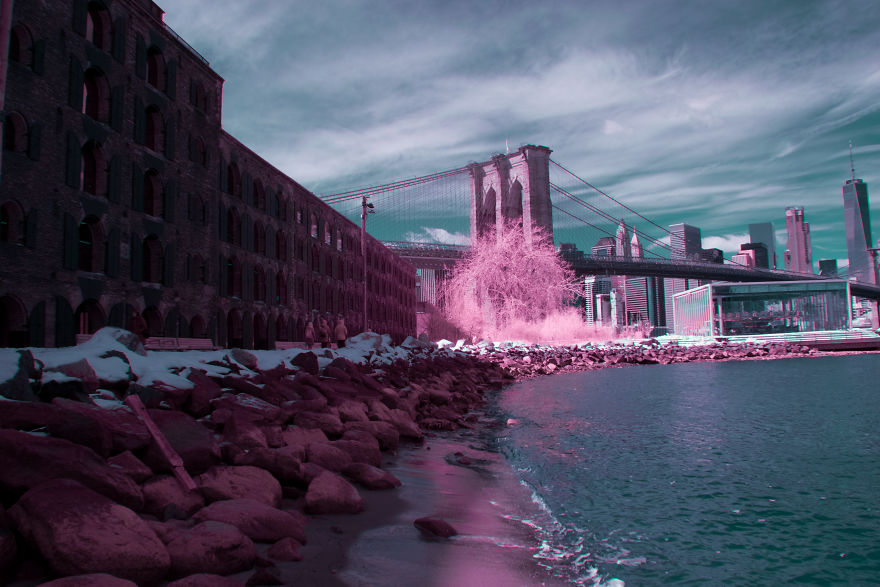 A Recent Infrared Photo Series. Nyc X Ir