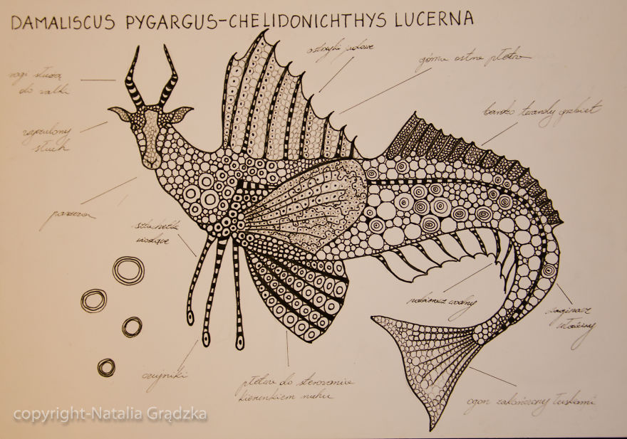 I Drew Animal Hybrids That Could Never Appear In Nature I Drew Animal Hybrids That Could Never Appear In Nature