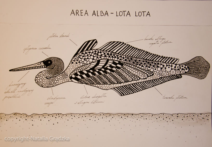 I Drew Animal Hybrids That Could Never Appear In Nature I Drew Animal Hybrids That Could Never Appear In Nature