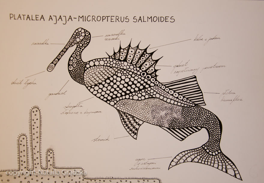 I Drew Animal Hybrids That Could Never Appear In Nature I Drew Animal Hybrids That Could Never Appear In Nature