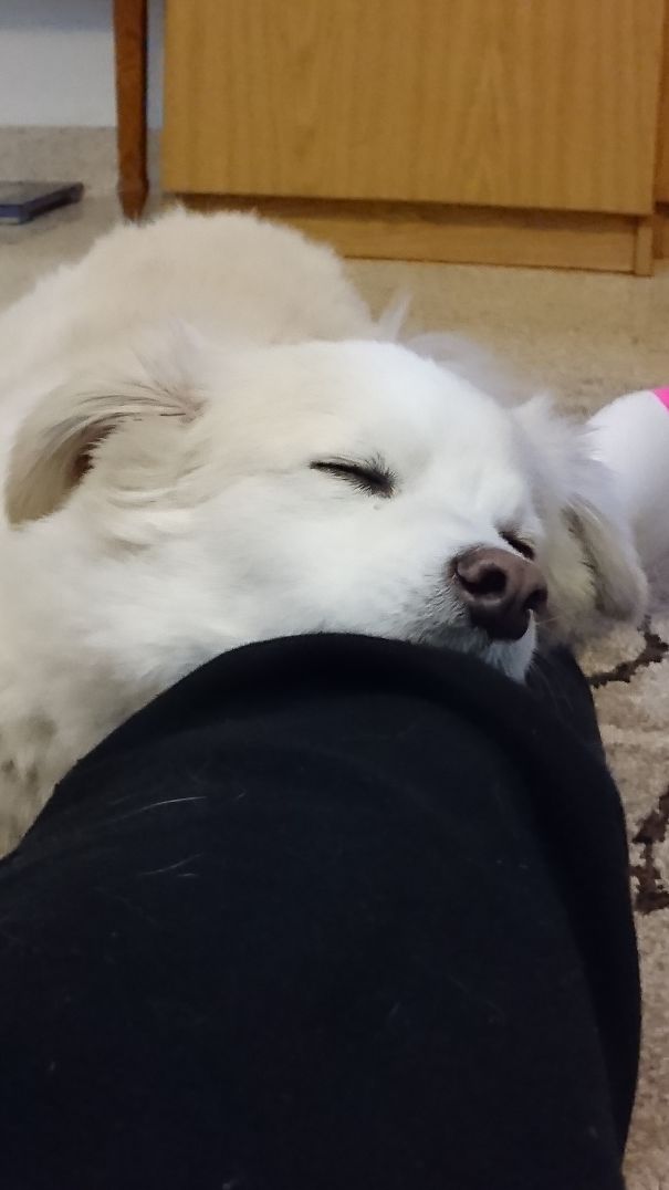 Mr. Johny Melting On My Leg.