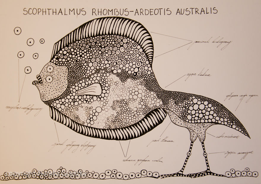 I Drew Animal Hybrids That Could Never Appear In Nature I Drew Animal Hybrids That Could Never Appear In Nature