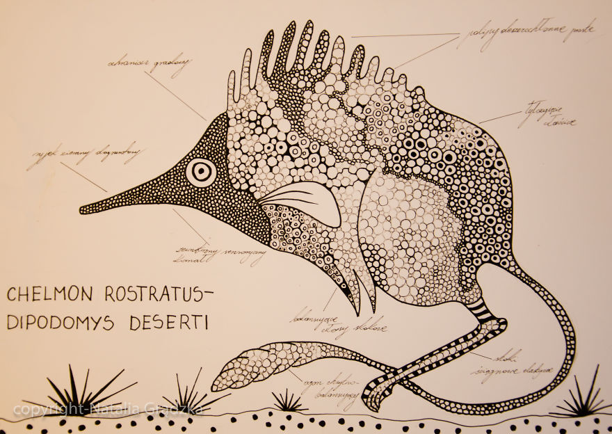 I Drew Animal Hybrids That Could Never Appear In Nature I Drew Animal Hybrids That Could Never Appear In Nature