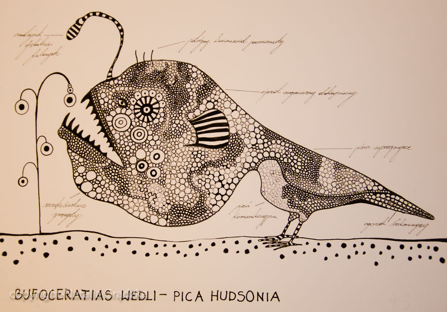 I Drew Animal Hybrids That Could Never Appear In Nature I Drew Animal Hybrids That Could Never Appear In Nature