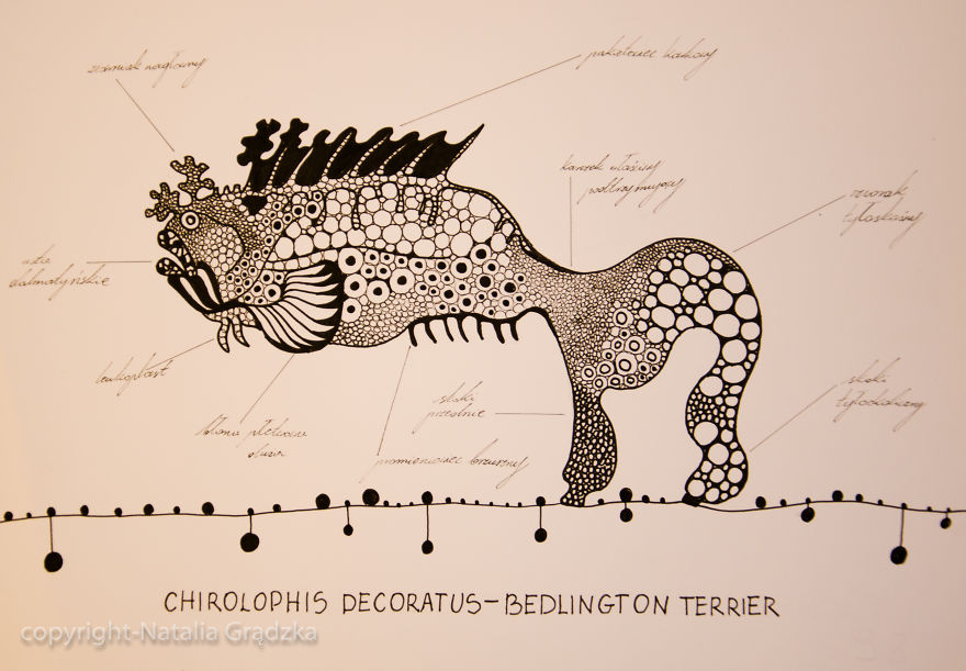 I Drew Animal Hybrids That Could Never Appear In Nature I Drew Animal Hybrids That Could Never Appear In Nature