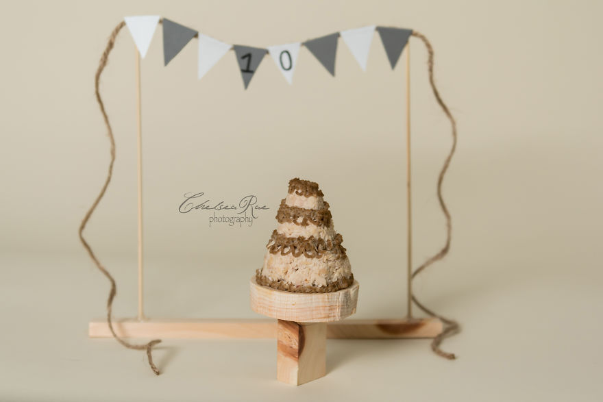 I Love My Cat And Did A Birthday Cake Smash Photoshoot For His 10th Birthday Because I'm Crazy