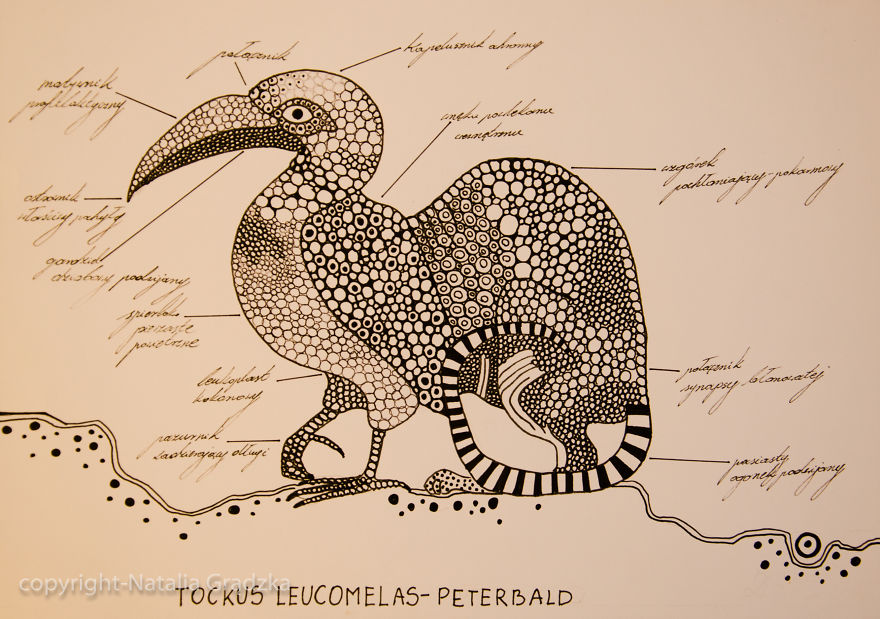 I Drew Animal Hybrids That Could Never Appear In Nature I Drew Animal Hybrids That Could Never Appear In Nature