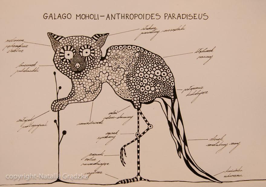 I Drew Animal Hybrids That Could Never Appear In Nature I Drew Animal Hybrids That Could Never Appear In Nature