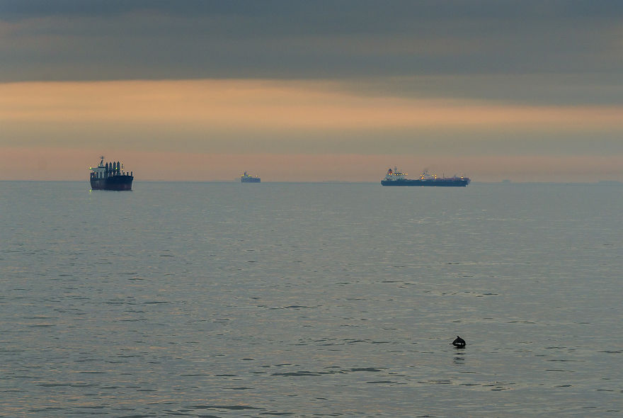 Houston Area, Gulf Of Mexico