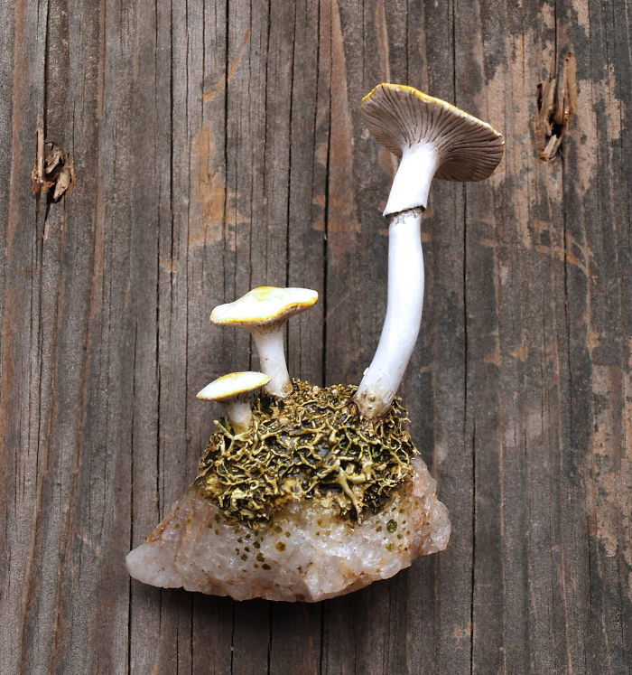 I Create These Earthy Refrigerator Magnets