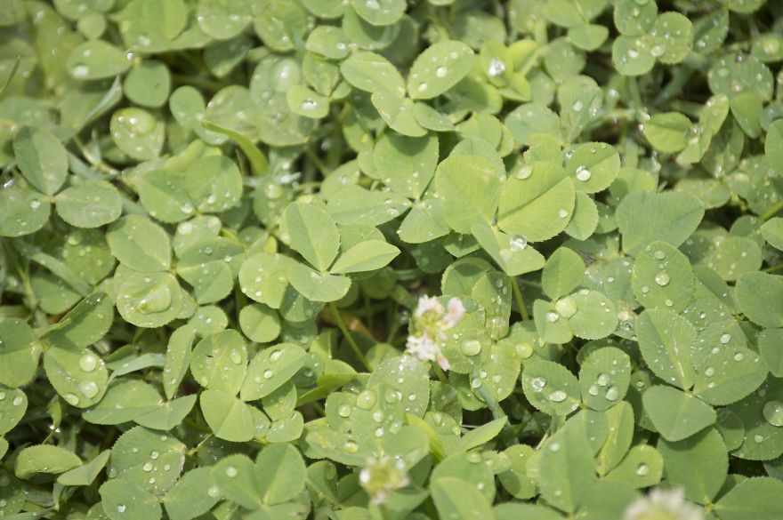 New Photographer, Age 15 New Photographer, Age 15