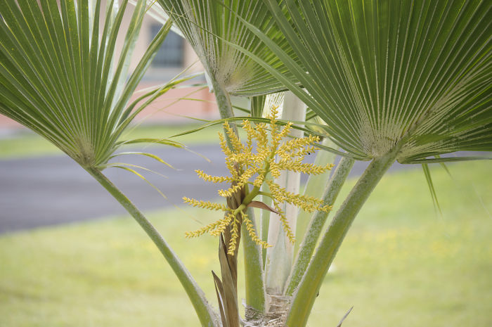 New Photographer, Age 15