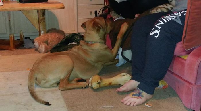 Viciously Attacking A Knee!