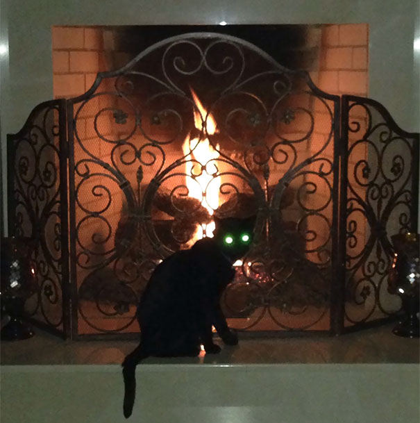 Interrupted My Cat Summoning Satan