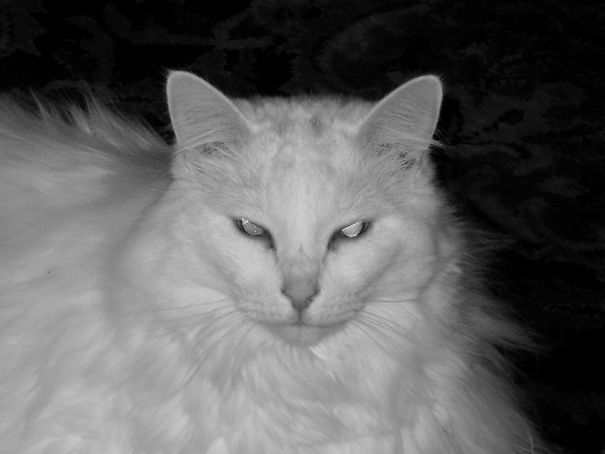 I'm Watching You......