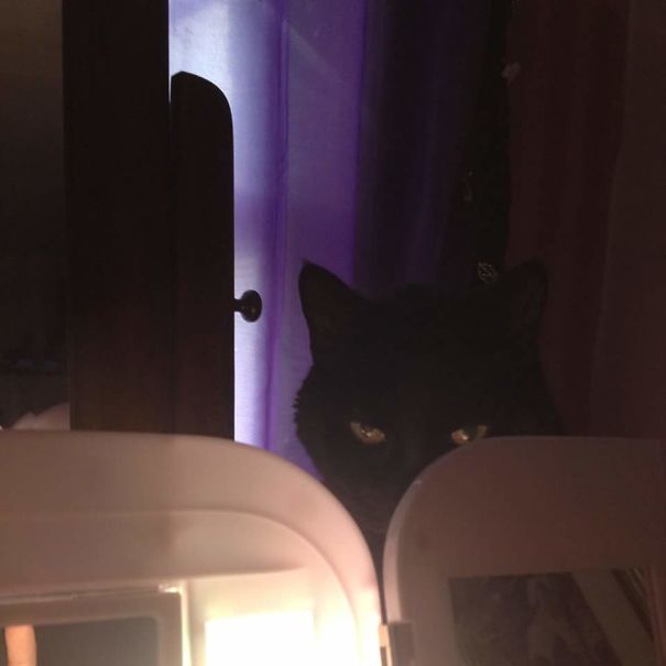 Felt Someone Staring At Me And Putting On Make Up And Look Up To Find This...he Is Shadow